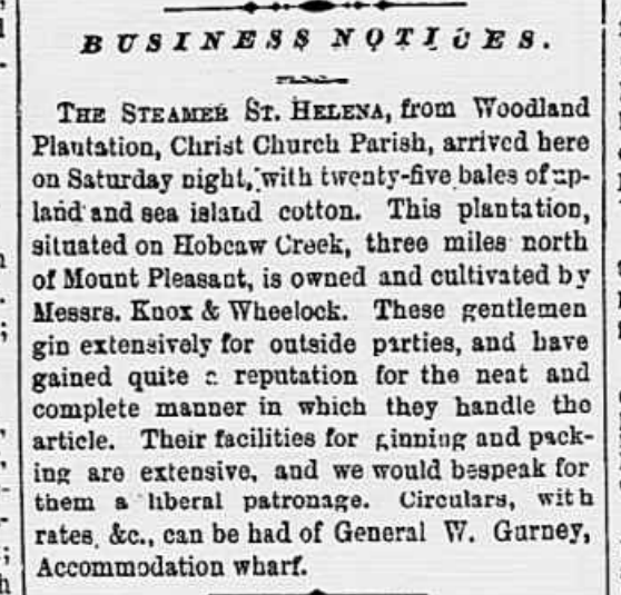 Image of the steamer St. Helena